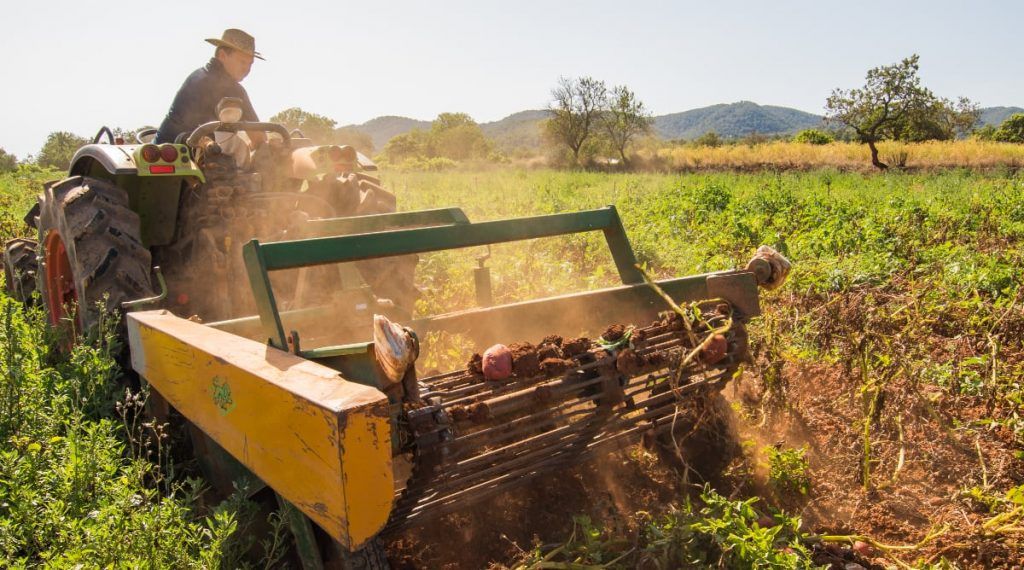 COMPROMÍS AMB ELS PRODUCTES DE BALEARS